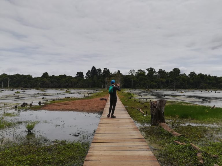 Sur le chemin de Neak Pean, Pont entre les marécages, Temples d'Angkor, Cambodge